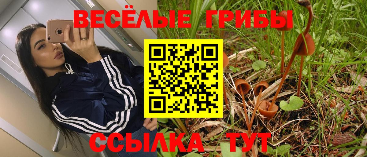 Псилоцибиновые грибы Psilocybe  хочу наркоту  Магнитогорск  Вход с VPN 